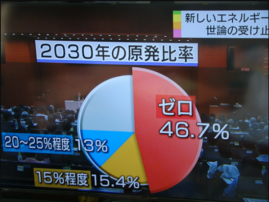 日本で実施された原発政策をめぐる討論型世論調査の結果
