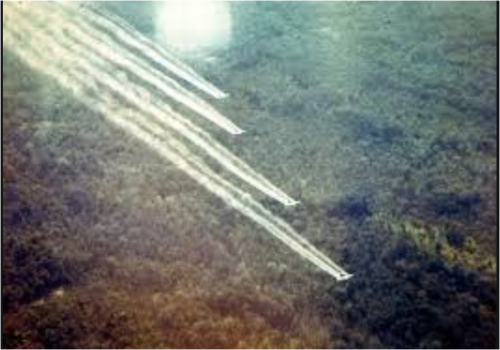 米軍がベトナム戦争でばらまいた枯葉剤は㌧