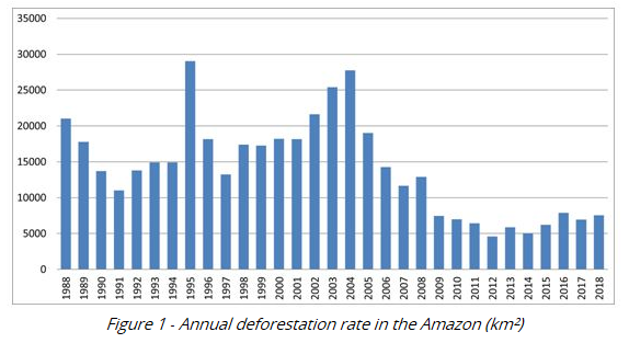 アマゾン地域の年間森林伐採の推移