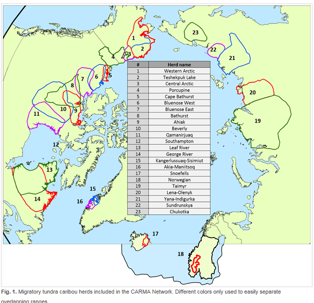 観測されている北極圏域に生息するトナカイの群れ一覧