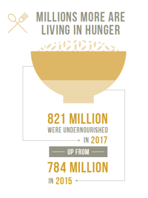 飢餓比率は改善傾向だが、依然、8億人以上が餓えに苦しむ