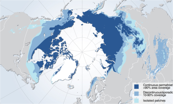 濃いブルーの部分が永久凍土層。シベリアはほとんどが永久凍土だ。