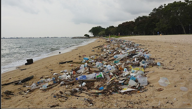 廃プラスチックが打ち寄せられるバヌアツの海岸