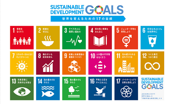 SDGs11キャプチャ