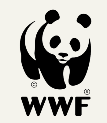 WWF4キャプチャ