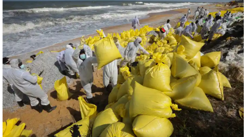 汚染された海岸で続けられる回収作業