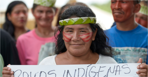 ブラジルの先住民族は生活の場でもあるアマゾン熱帯林の保全を要請