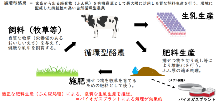牛のふん尿からメタノール製造のサイクル