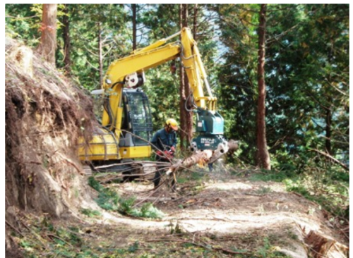 間伐を進め、林道を整備する作業