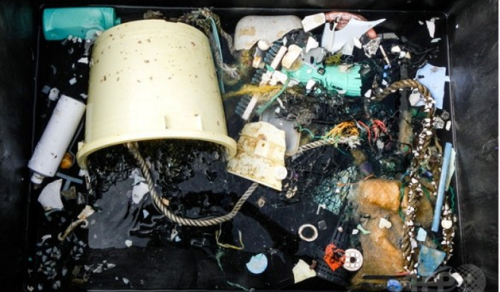 海から回収された多様なプラスチック廃棄物