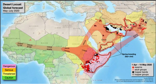 サバクトビバッタの展開は、東アフリカから中東、インド・パキスタンへ