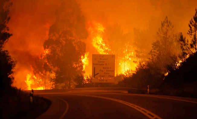 6月にポルトガルで発生した広範囲な森林火災。森も、街も、家も、道路も火に包まれた。