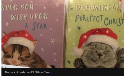 子ネコのクリスマスカードの中に・・・