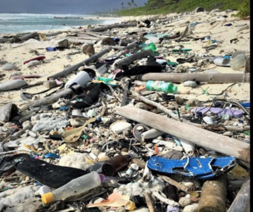 これらの漂着ごみの「26倍」の廃プラ漂着物が海岸に堆積
