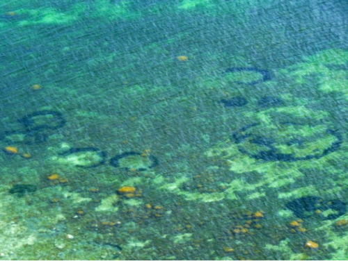 デンマーク沖の浅瀬で発見されたいくつもの輪
