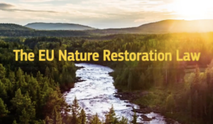 スクリーンショット 2024-06-18 161658