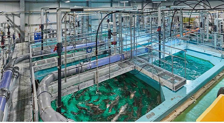 FRD001キャプチャ