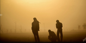 afp11キャプチャ