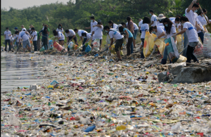 海の清掃ボランティア活動も、ごみの量に圧倒される