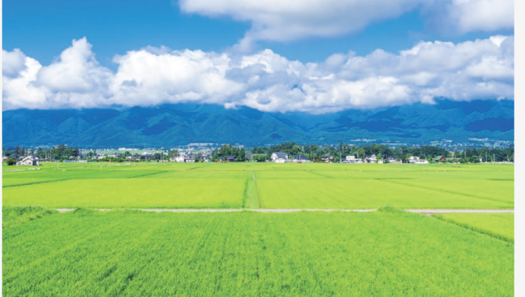 スクリーンショット 2025-03-27 180816