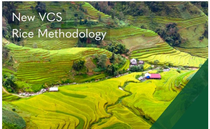 スクリーンショット 2024-08-30 215200