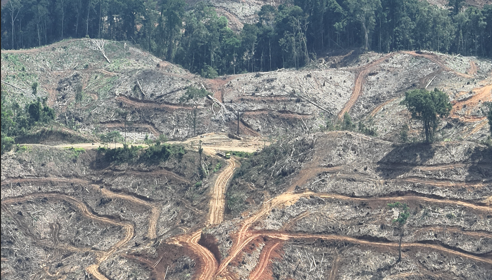 indonesia002スクリーンショット 2026-01-17 232558