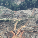 indonesia002スクリーンショット 2026-01-17 232558