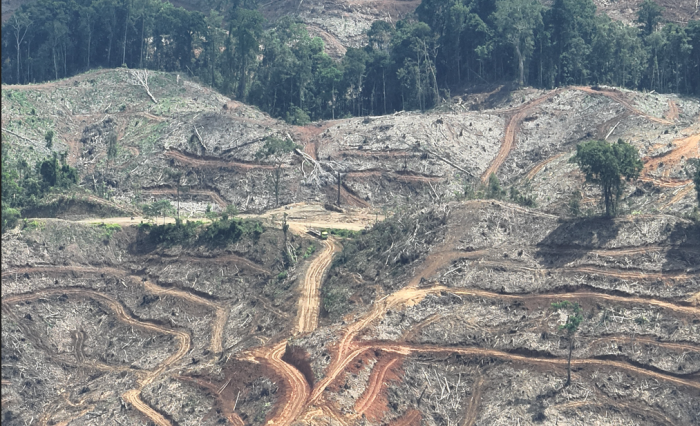 indonesia002スクリーンショット 2026-01-17 232558