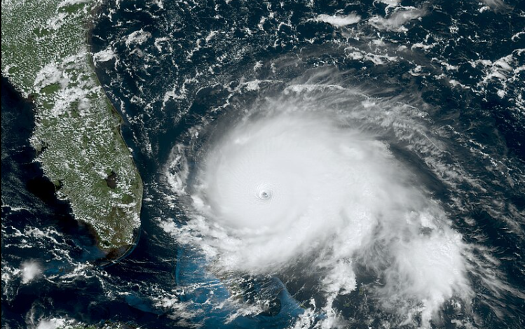 スクリーンショット 2024-12-14 140130