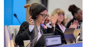 スクリーンショット 2025-03-01 224303