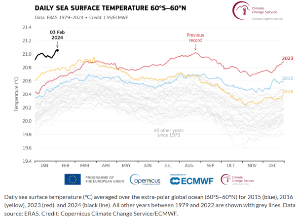海洋温度の日ベース推移