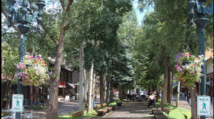 aspenキャプチャ