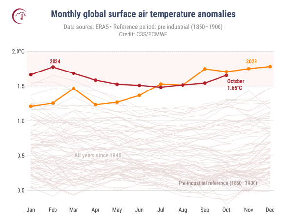 昨年と比較した年間の月ごとの平均気温の推移