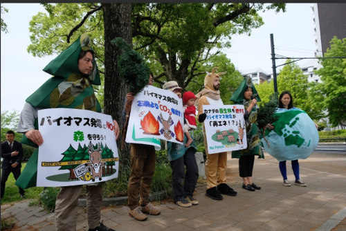 バイオマス燃料確保での自然林皆伐に反対するグループ