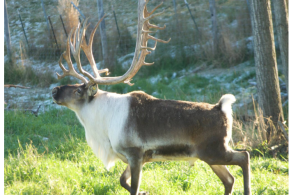 スクリーンショット 2024-12-21 234531