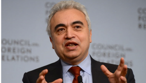 bidelキャプチャ