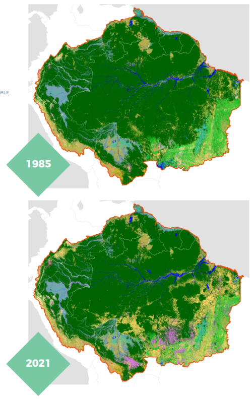 1985年から2021年にかけてのアマゾンの自然植生の変化