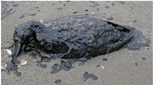 スクリーンショット 2025-11-21 220221