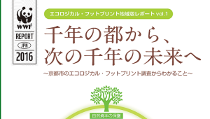 kyoto2キャプチャ