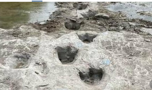 テキサス州で発見された恐竜の「足跡」