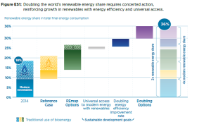 IRENAキャプチャ