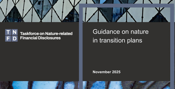 スクリーンショット 2025-11-05 015937