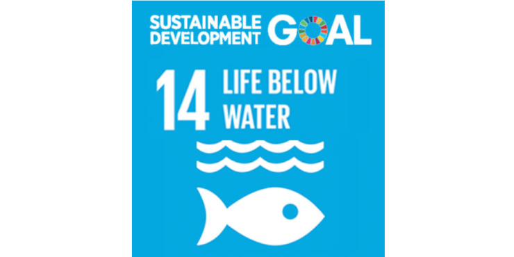 スクリーンショット 2024-12-14 023638