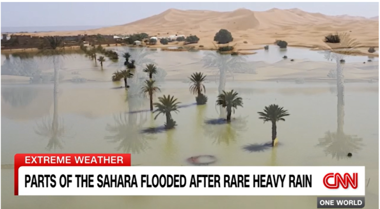 スクリーンショット 2024-10-15 115318