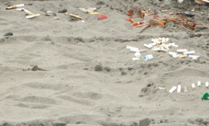 スクリーンショット 2024-12-19 233349