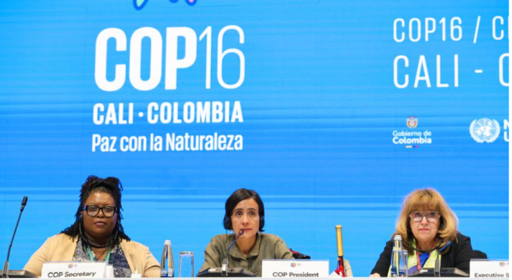 スクリーンショット 2024-11-04 200033