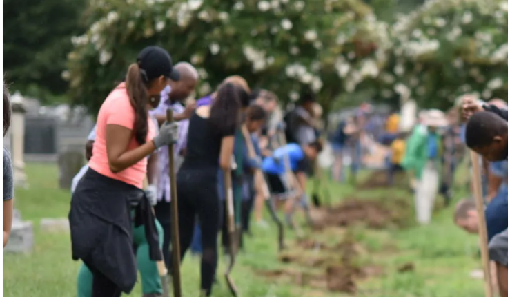 スクリーンショット 2024-12-28 131731