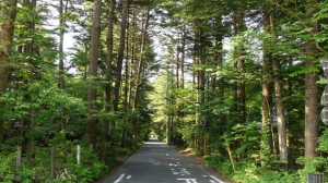 スクリーンショット 2024-12-29 175743