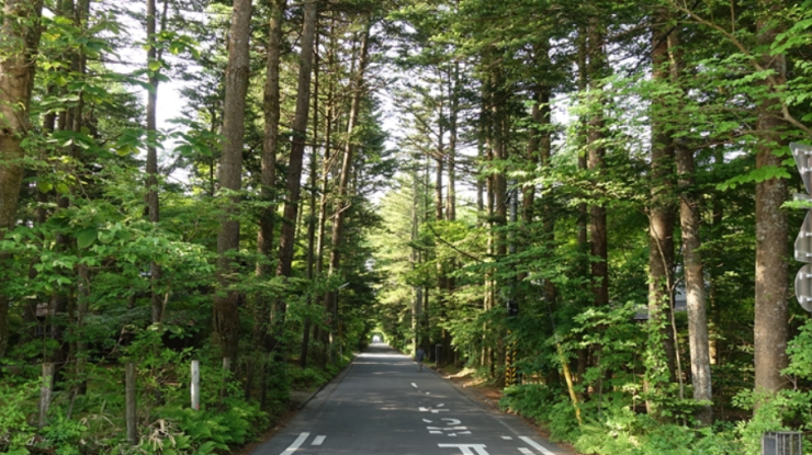 スクリーンショット 2024-12-29 175743