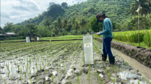 スクリーンショット 2024-12-08 224007